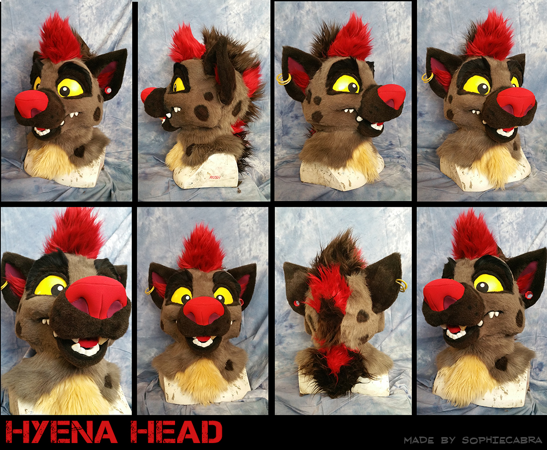 Hyena Head. 