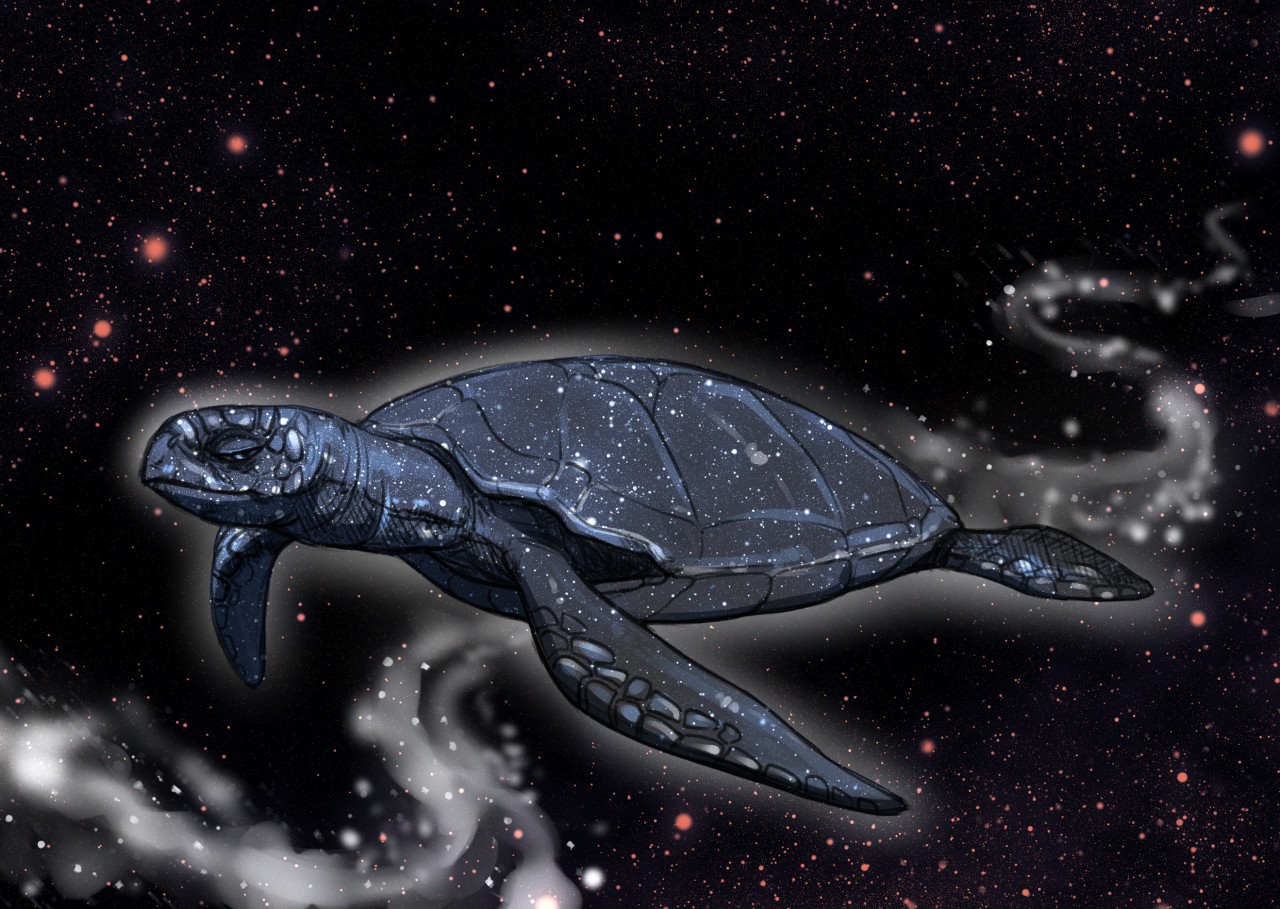 Maturin, the turtle