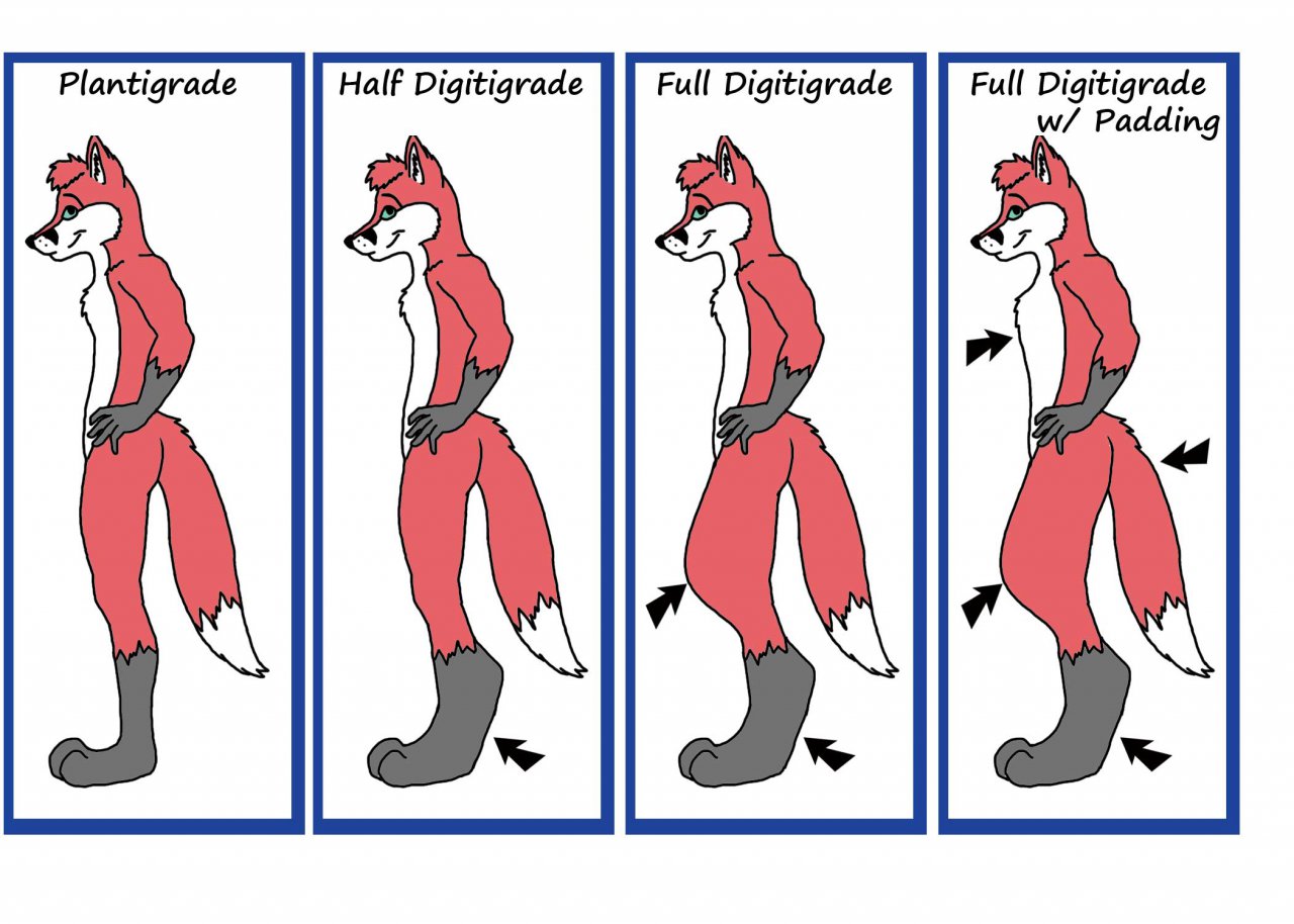 Digitigrade vs plantigrade fursuit