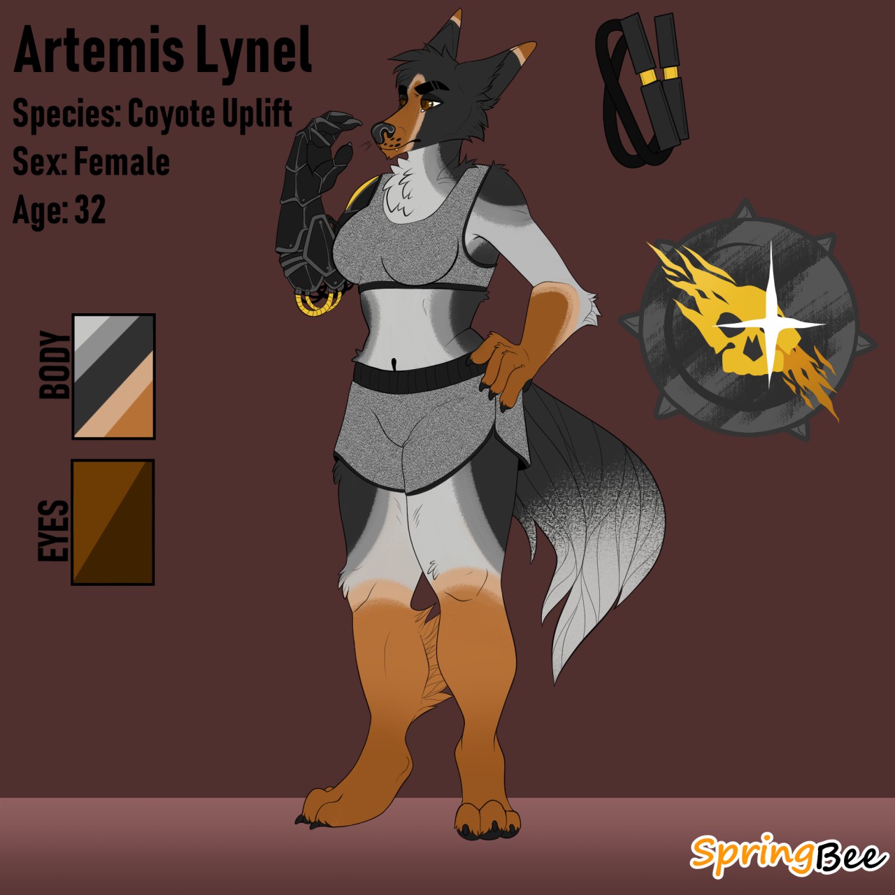 [C] Coyote Reference by SpringBear -- Fur Affinity [dot] net