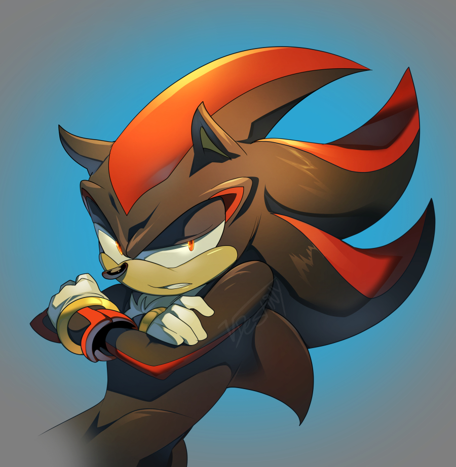 Shadow The Hedgehog by IDontBelieveInSalads -- Fur Affinity [dot] net