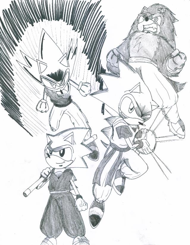 Pin by Kid Goku on Sonic.ExE  Sonic and shadow, Sonic fan art, Sonic funny