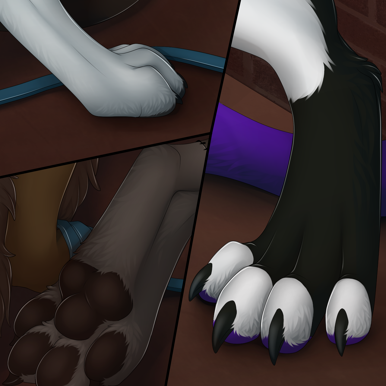 Bar Reserved: Paw Closeup by Staggard -- Fur Affinity [dot] net