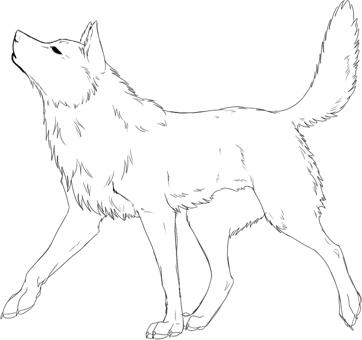 Free Wolf Lineart by Stalcry -- Fur Affinity [dot] net