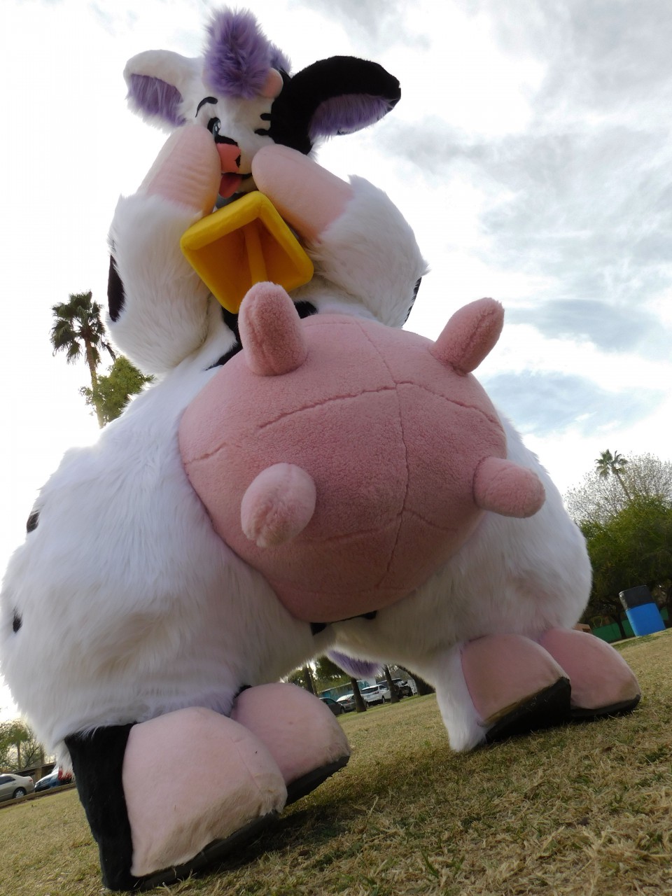 stuffed cow with udders