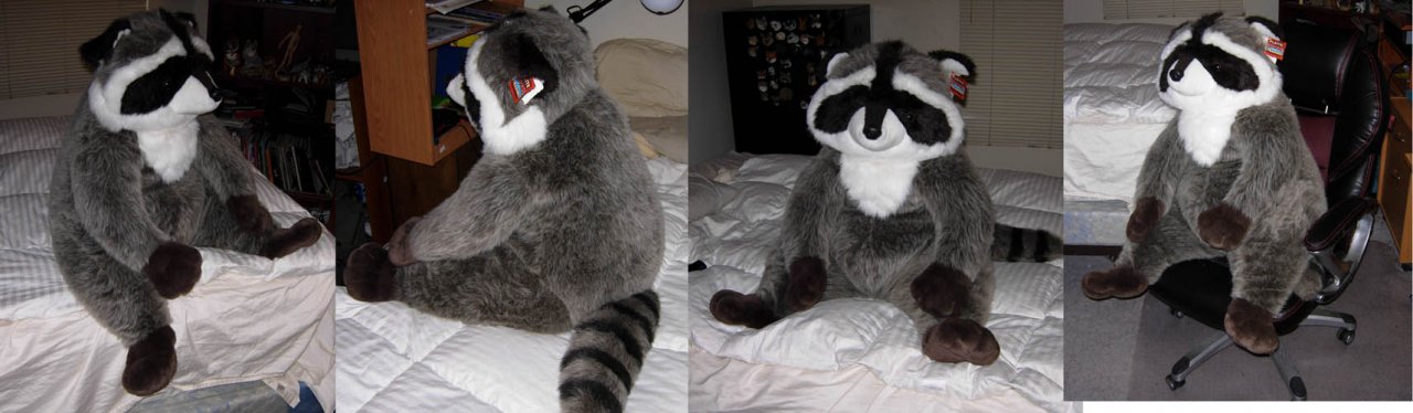 huge raccoon stuffed animal