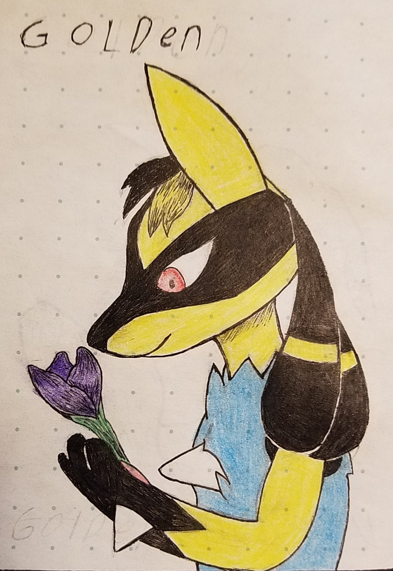 Pokemon shiny Lucario 6