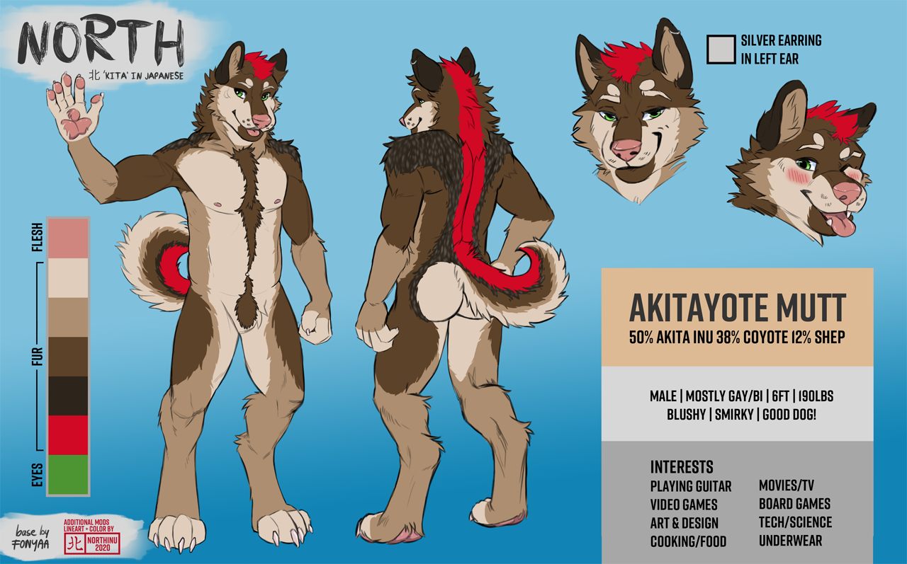 North Reference Sheet by Taka -- Fur Affinity [dot] net