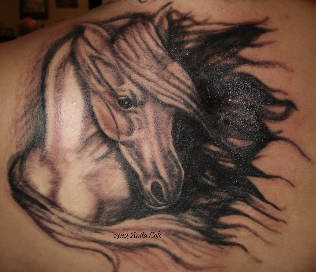 Horses stallions and mustangs for tattoo or mascot design  CanStock