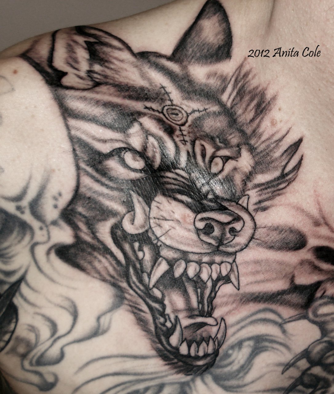 A tattoo of a wolf (sketchy) with a broken watch in his mouth. Done by  Aletatou in Prague. This is before small corrections btw : r/tattoo