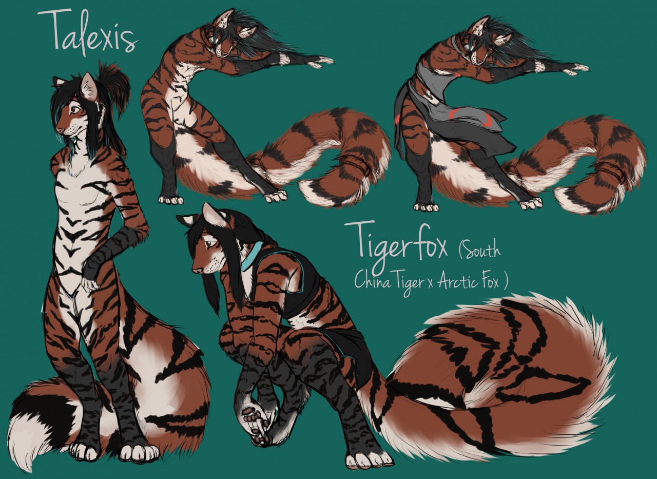 Talexis Ref 2019- by Talexis -- Fur Affinity [dot] net