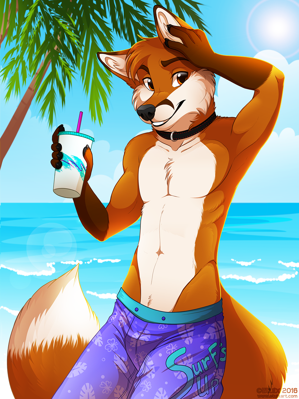 Beach Bum Fox. 