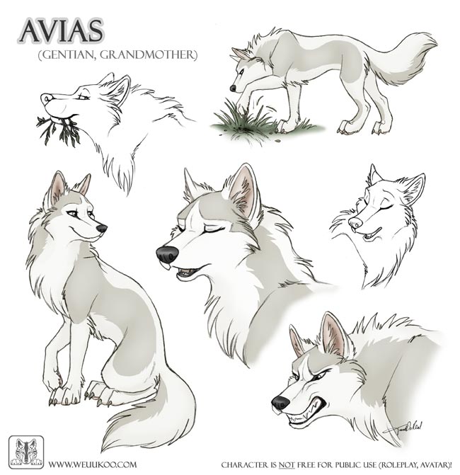 wolf character sheet lineart