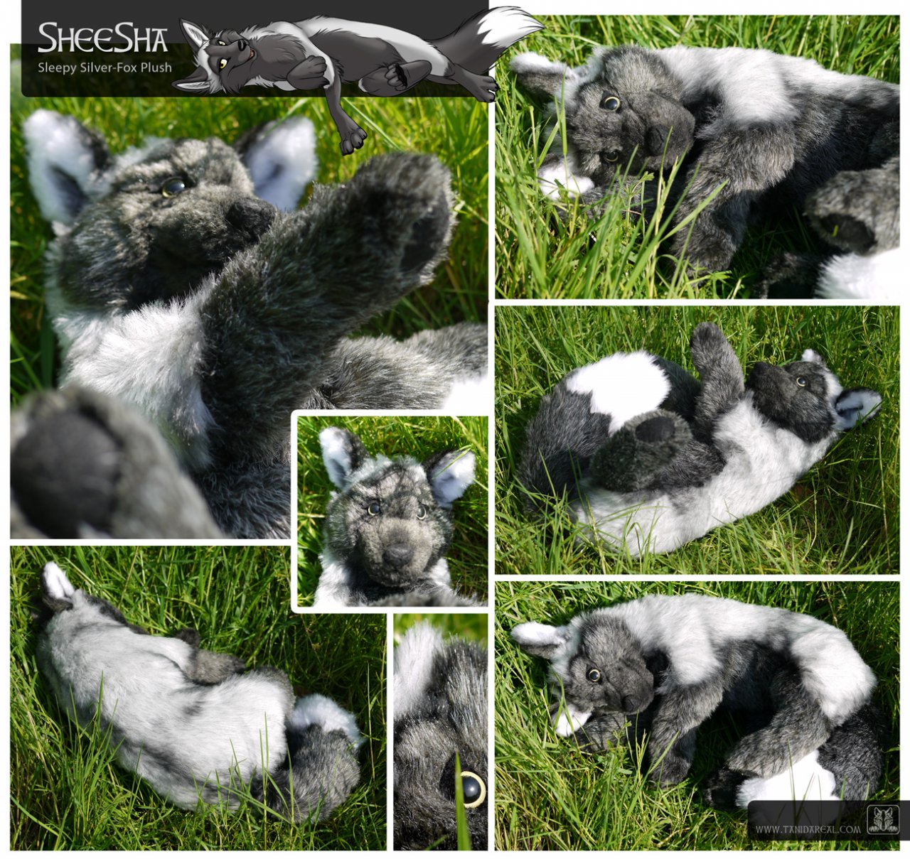 silver fox plush