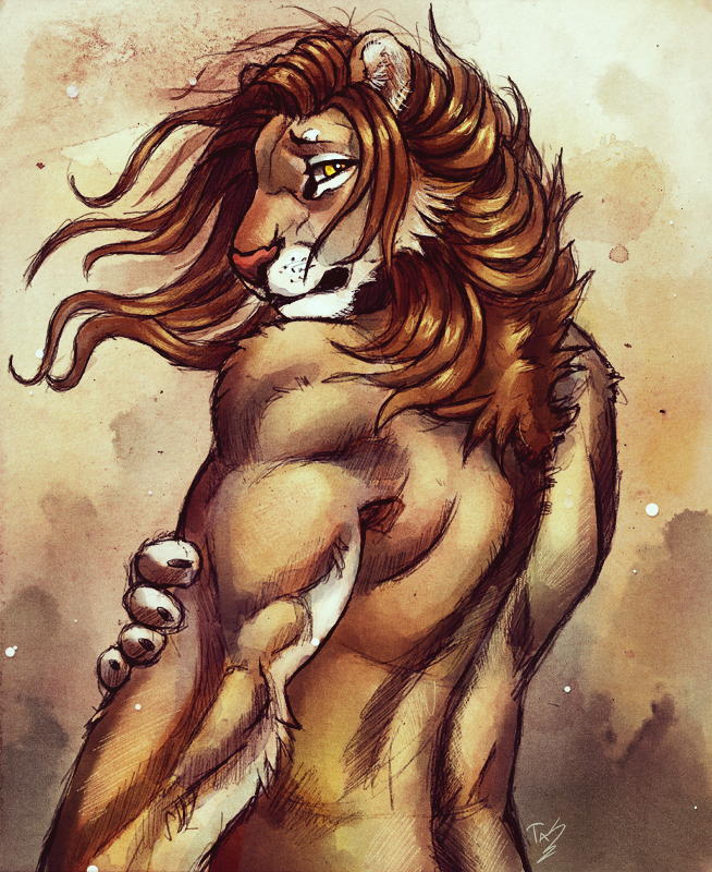 Lion. 