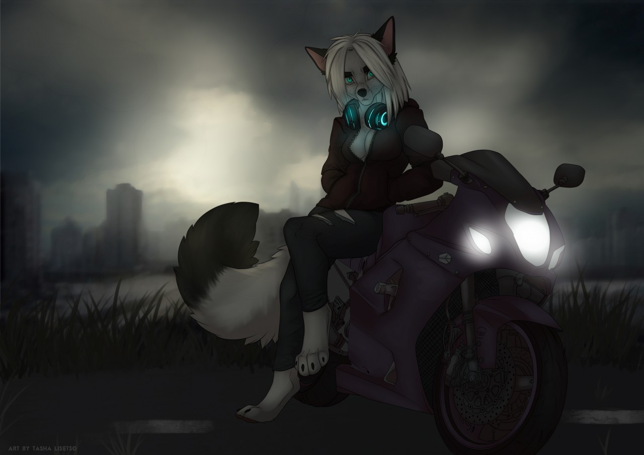 Big Dog Wolf Motorcycle