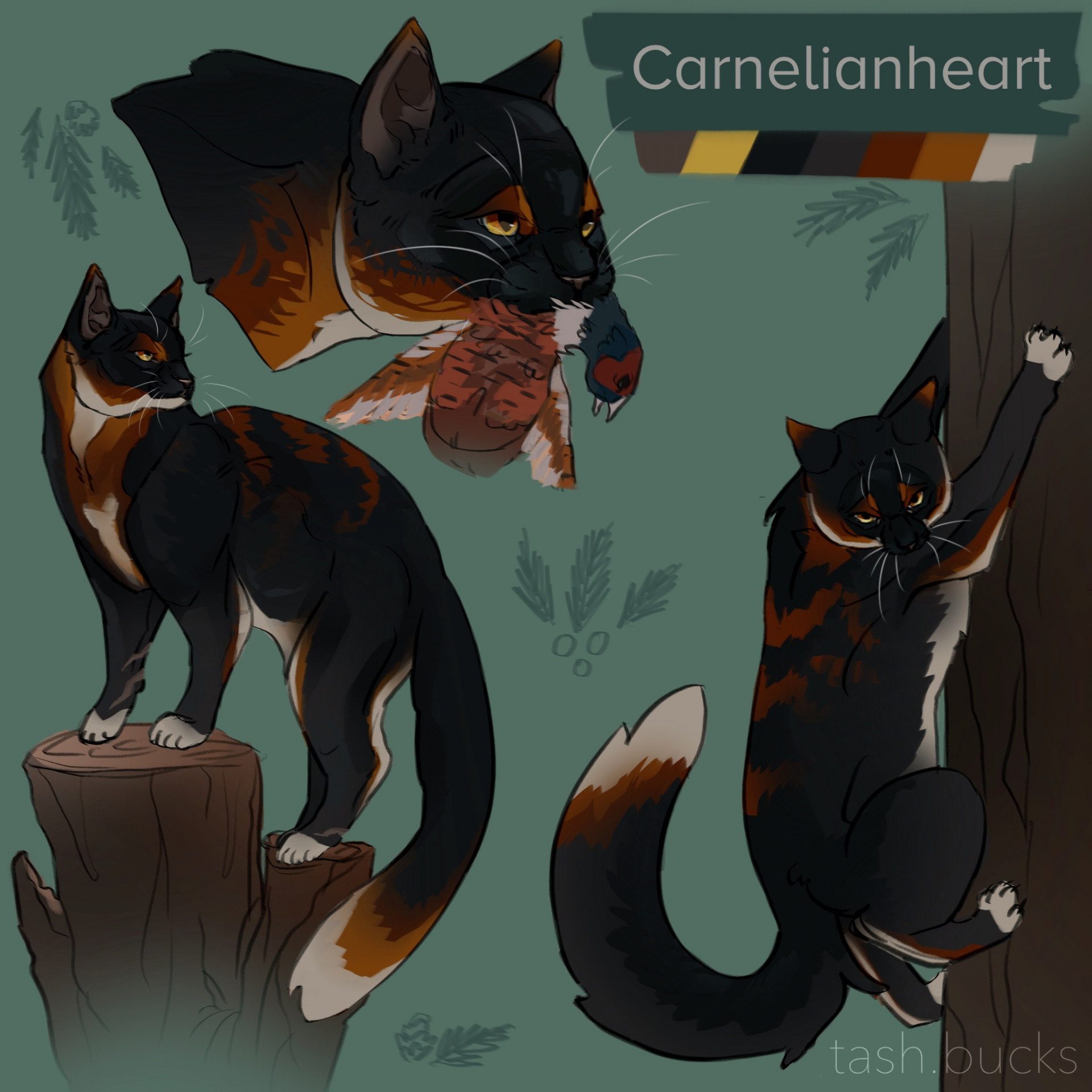 Carnelianheart ref sheet [UPDATED]