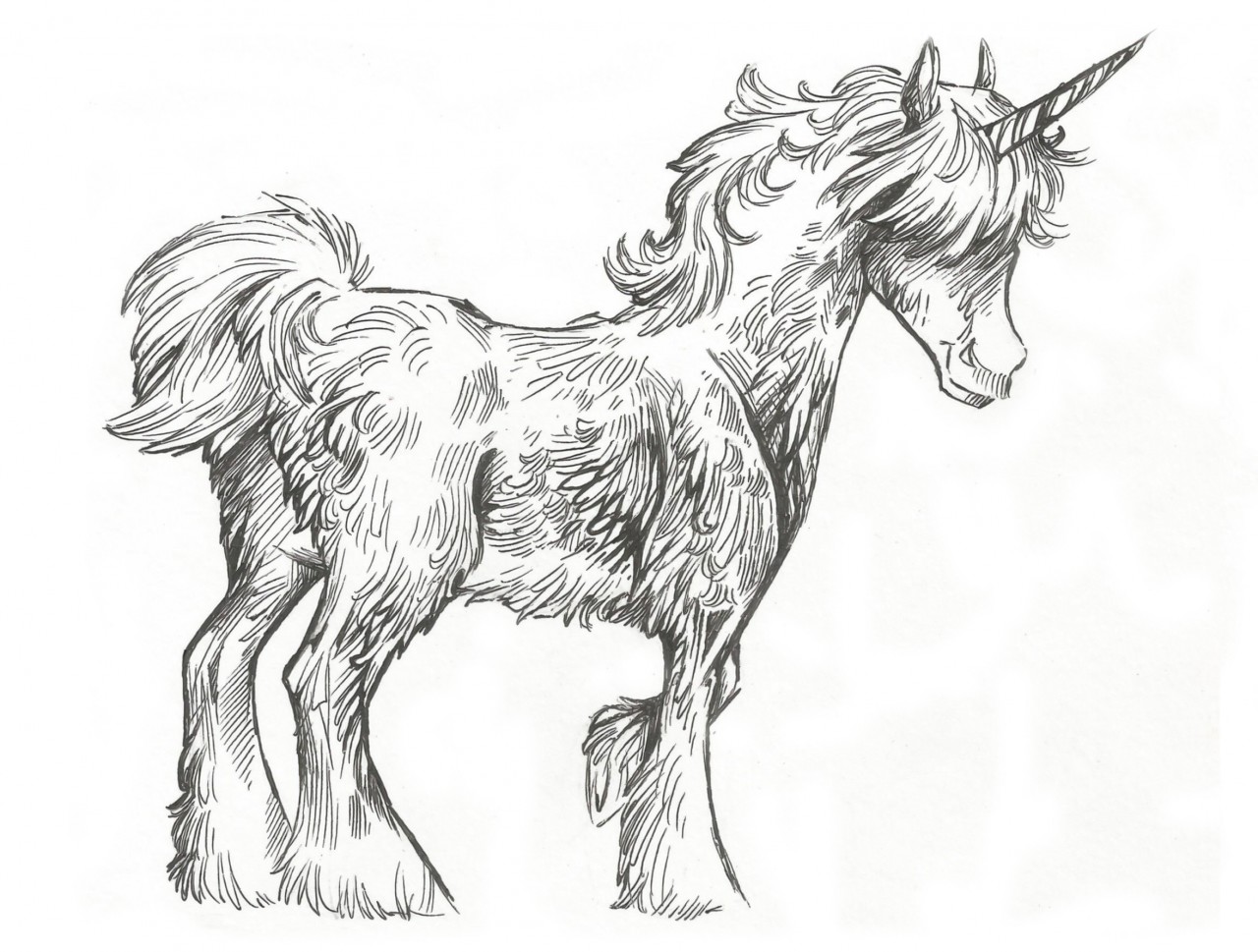 fluffy unicorn drawing