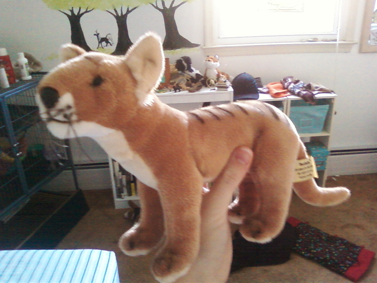 thylacine plush