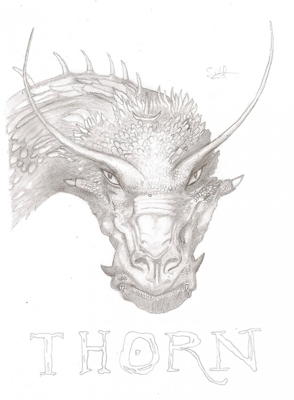 eragon thorn