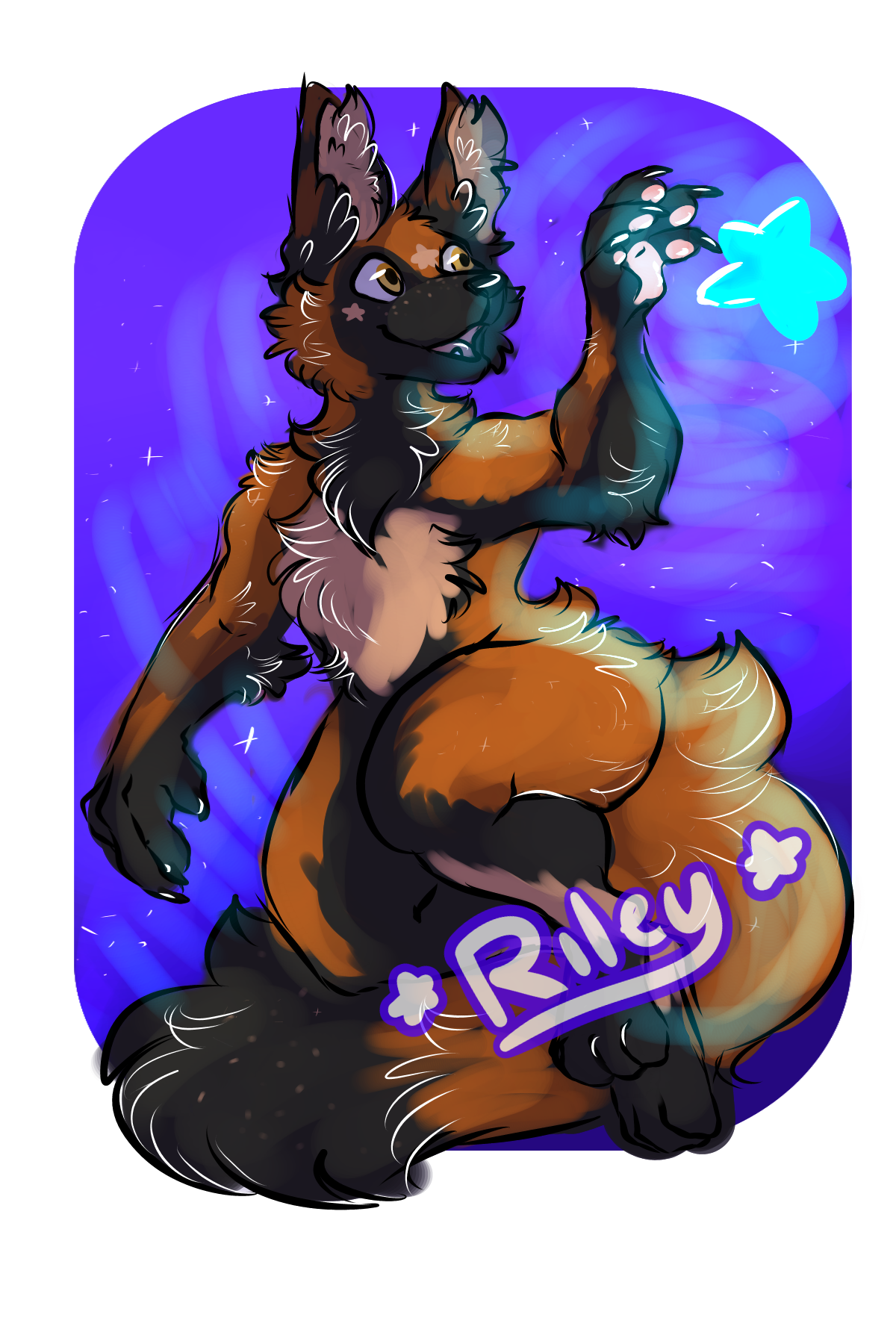 NMA] Riley Star Badge by ThatBlackFox -- Fur Affinity [dot] net