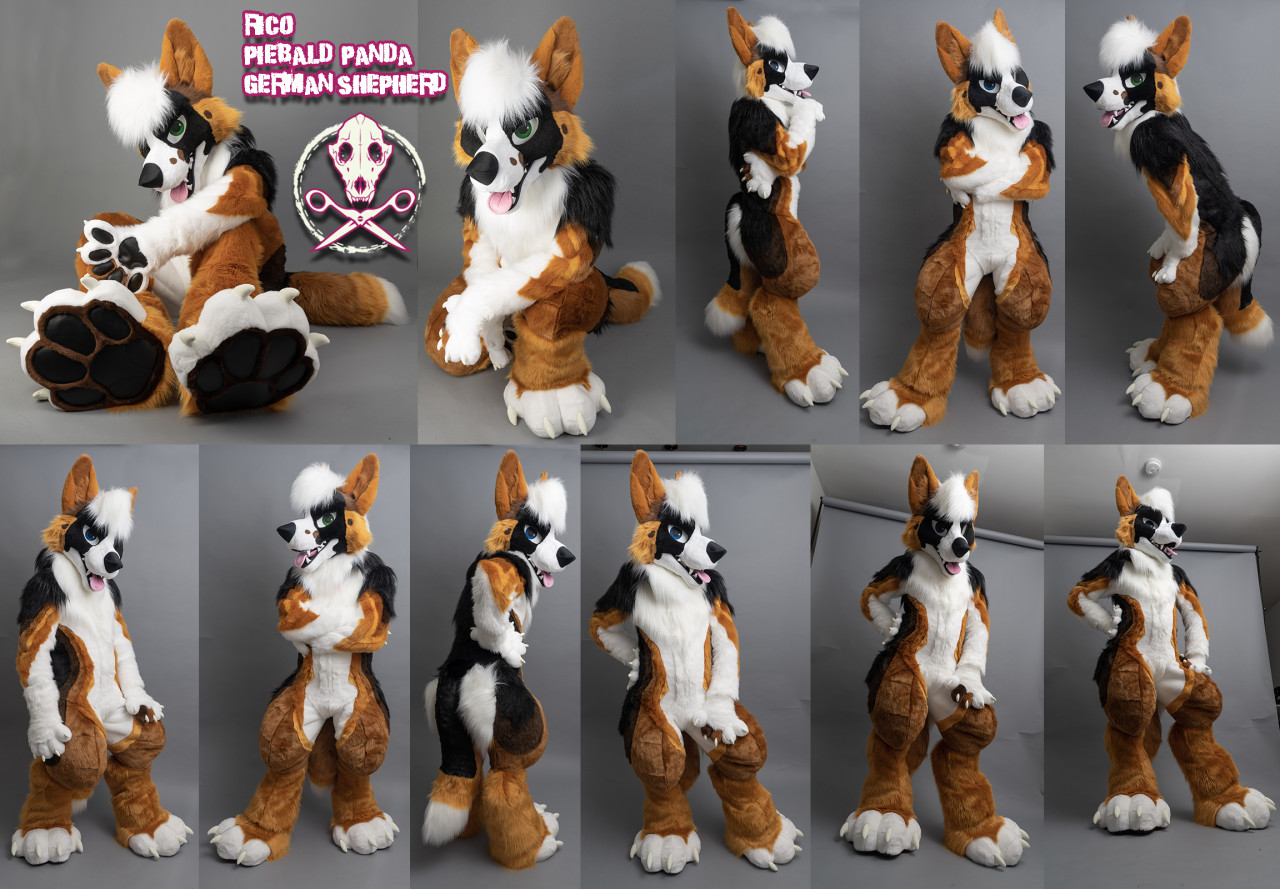 Rico GShep Fursuit by ThatsFurredUp -- Fur Affinity [dot] net