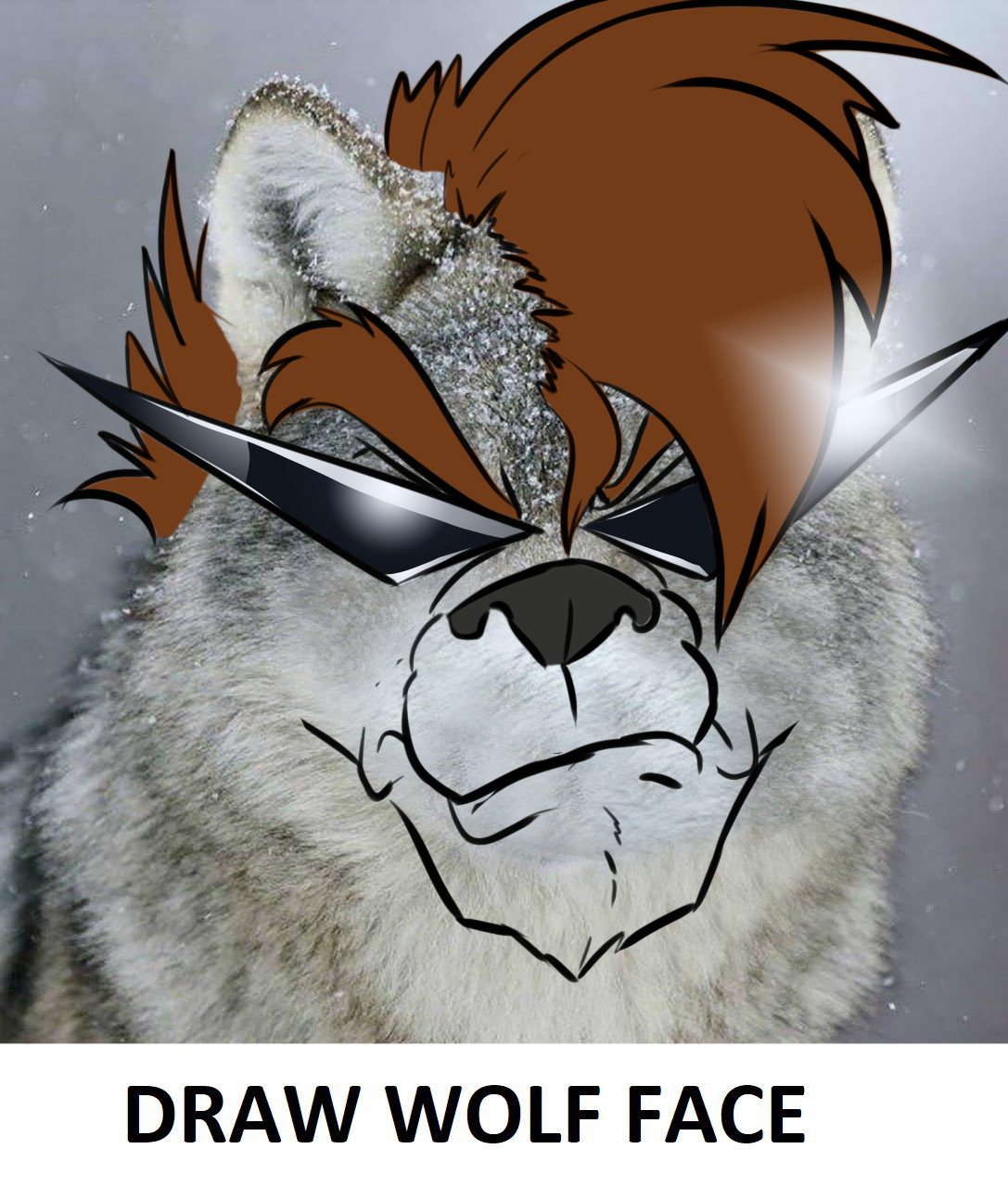 Draw wolf face meme — Weasyl