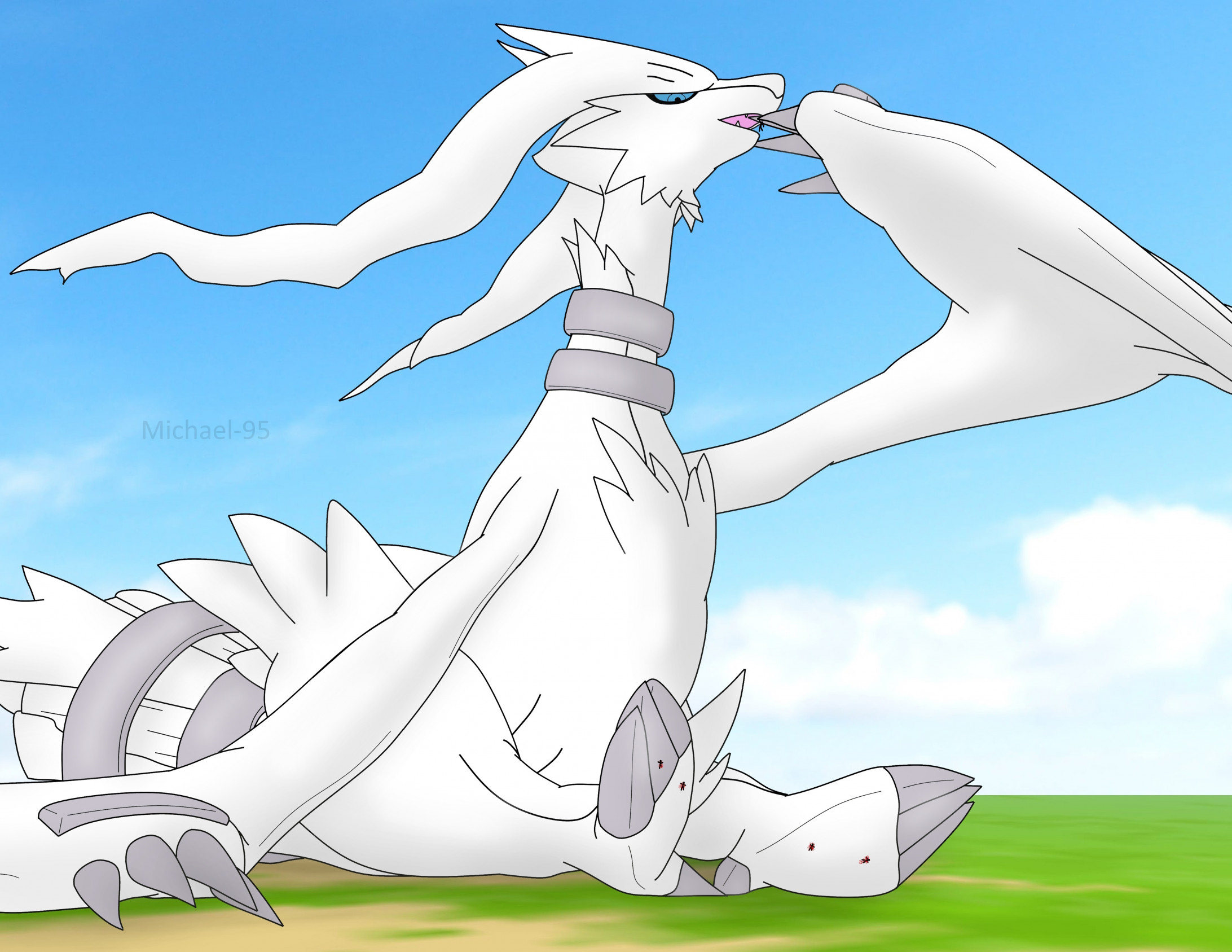 Pokemon Zekrom and Reshiram 41