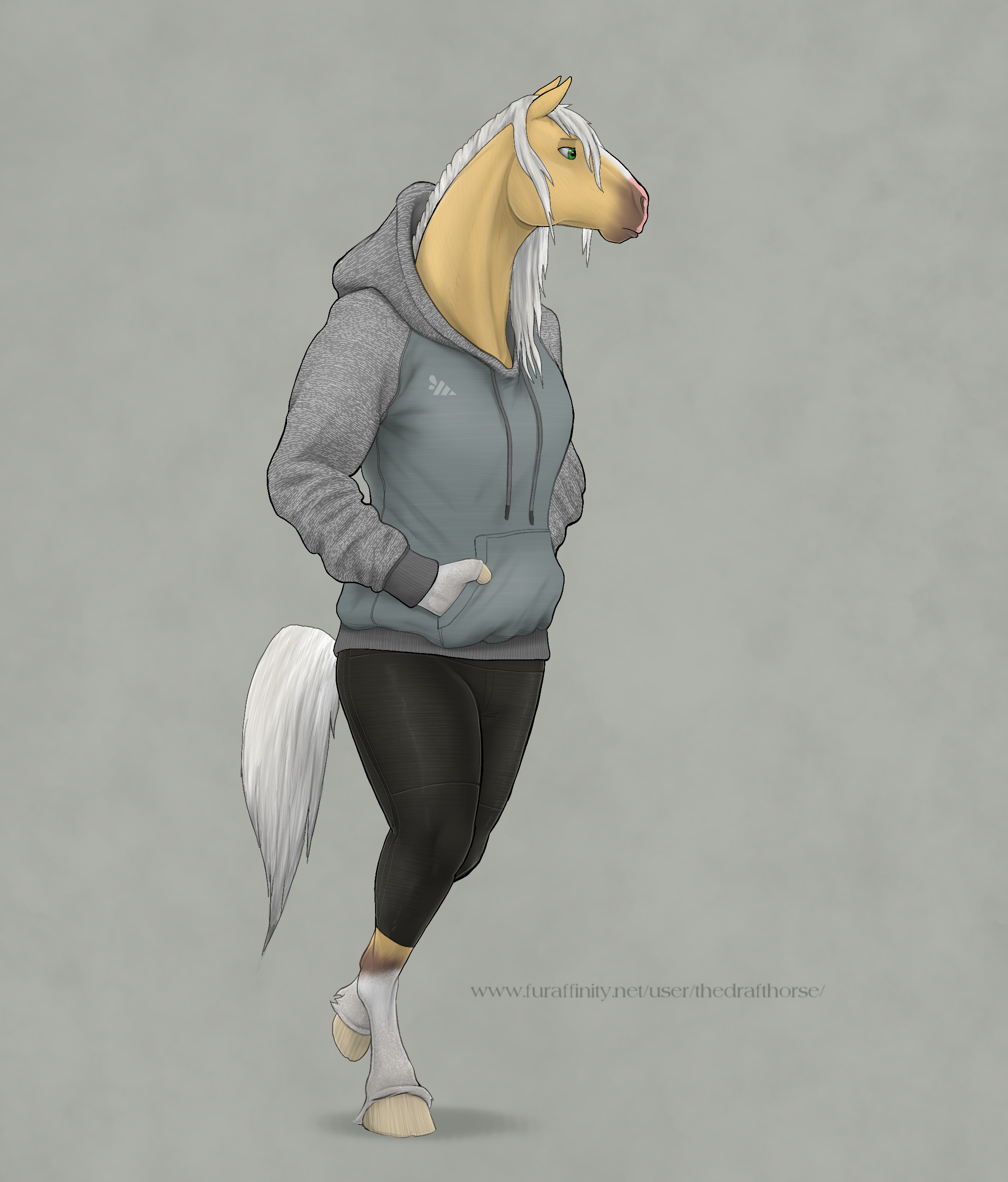 Furry female horse
