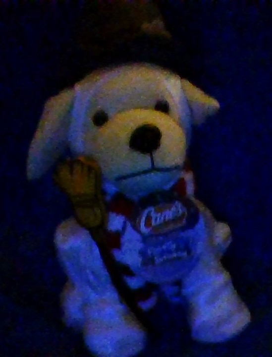 CUTE RAISING CANES Home Alone 2 Kevin Puppy Dog Stuffed Animal