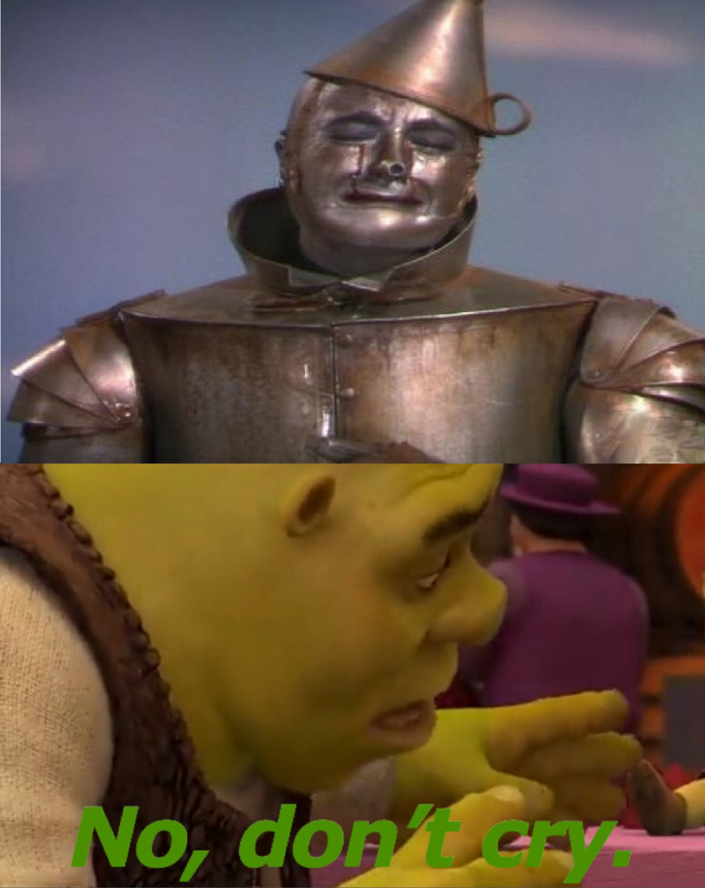 shrek crying