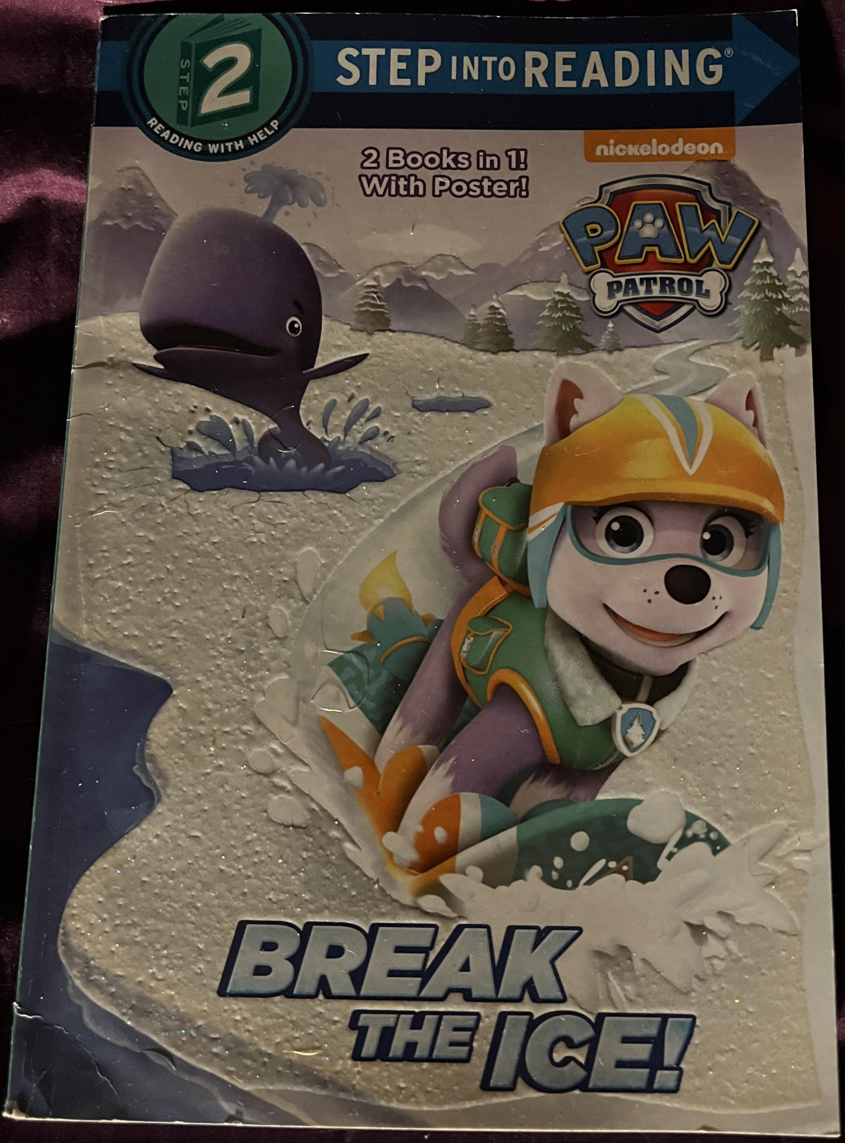 Break the Ice [Book]