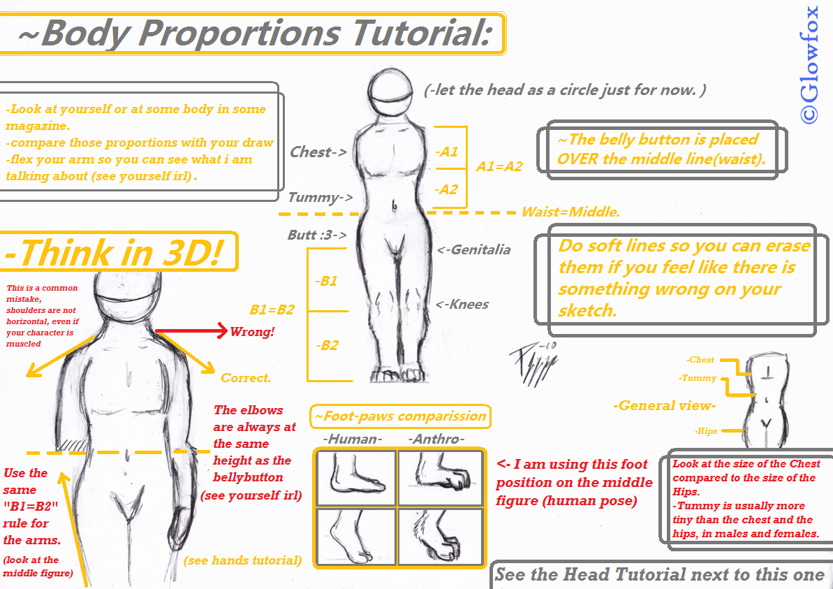 Visual Arts: The Body: proportions