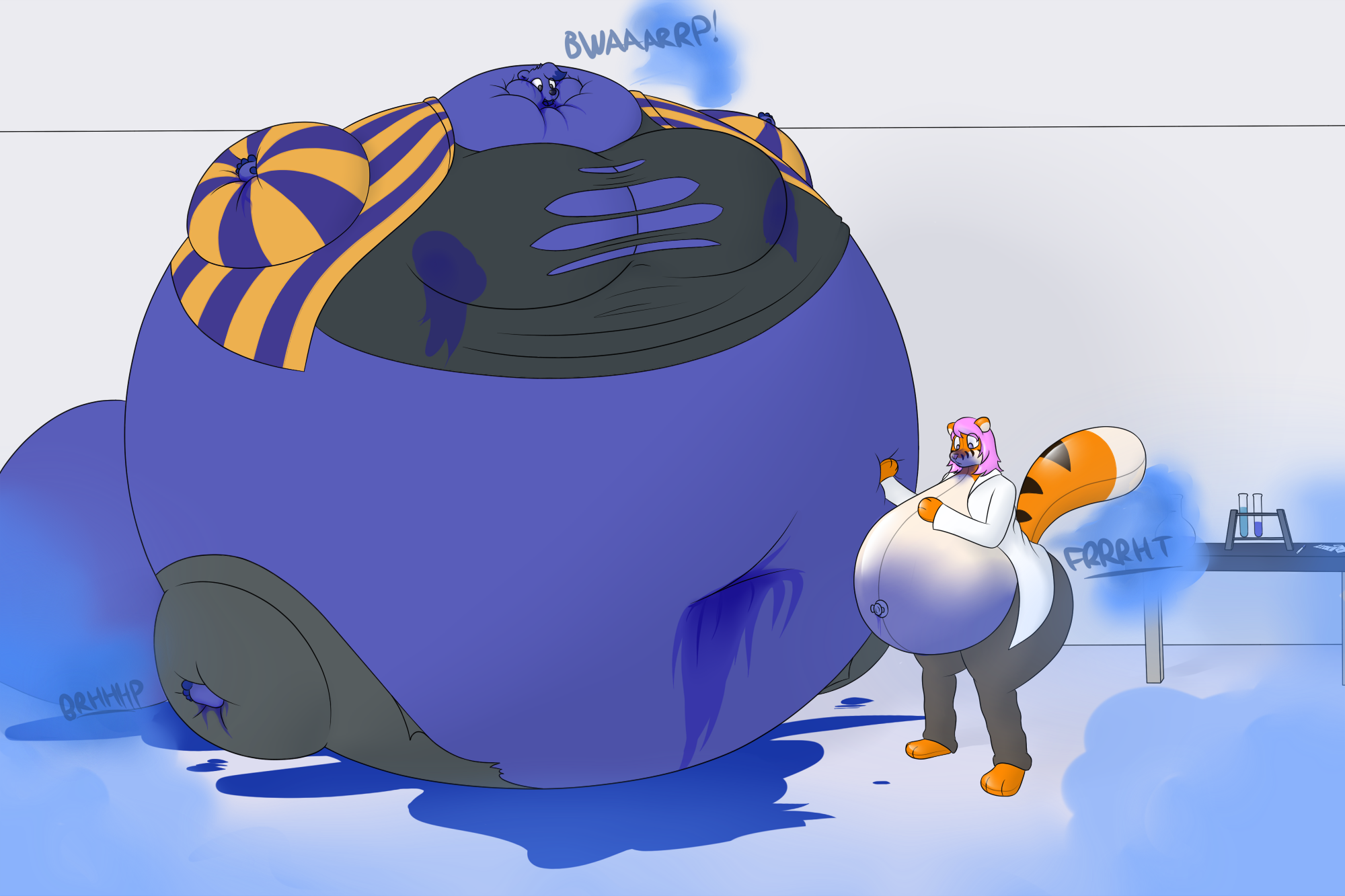 Blueberry furry. Инфлатион Белли Блуберри. Тигр инфлатион. Blueberry inflation фурри. Inflation Blueberry Fox.