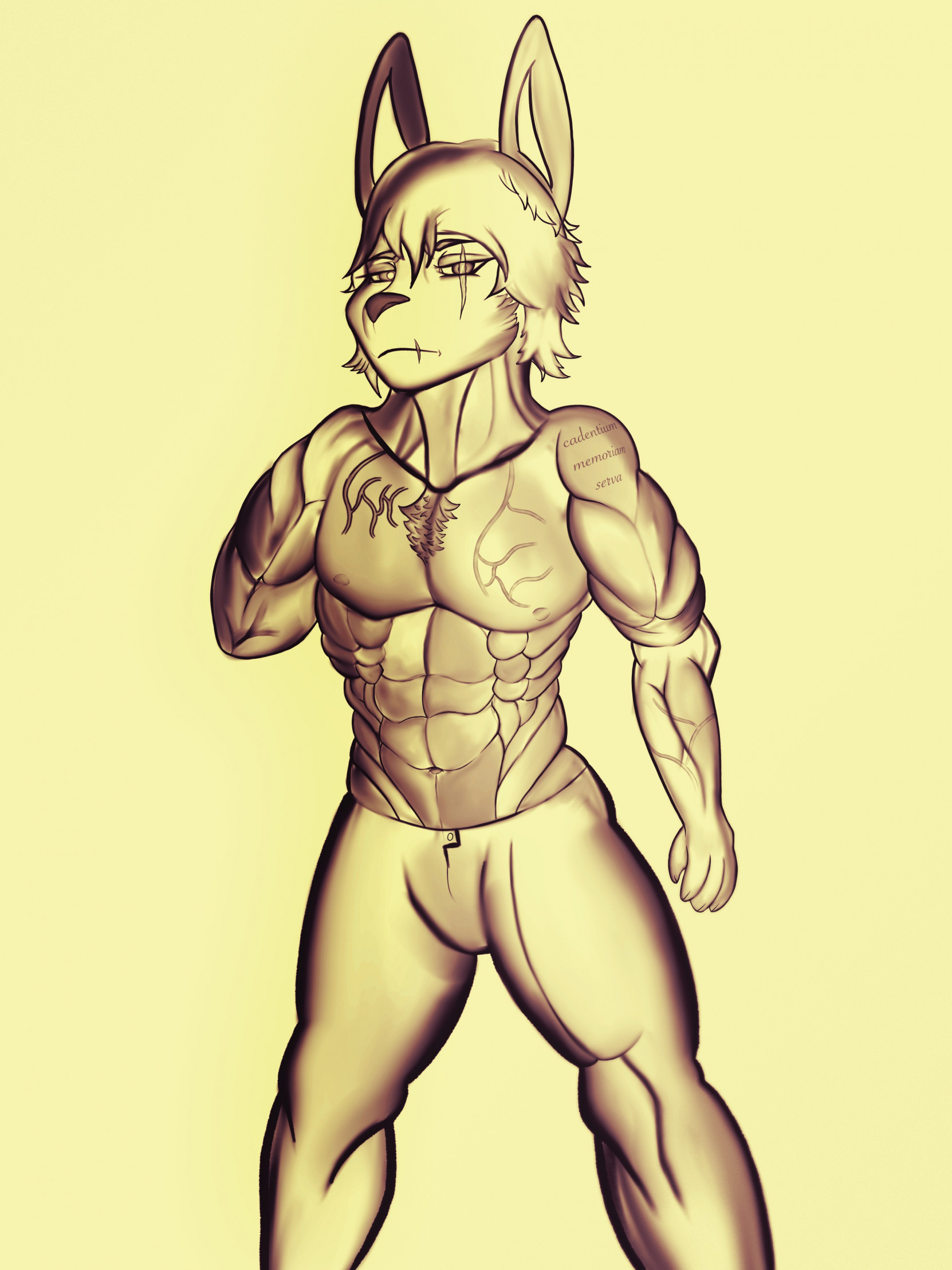 Muscular male rabbit, Gallery