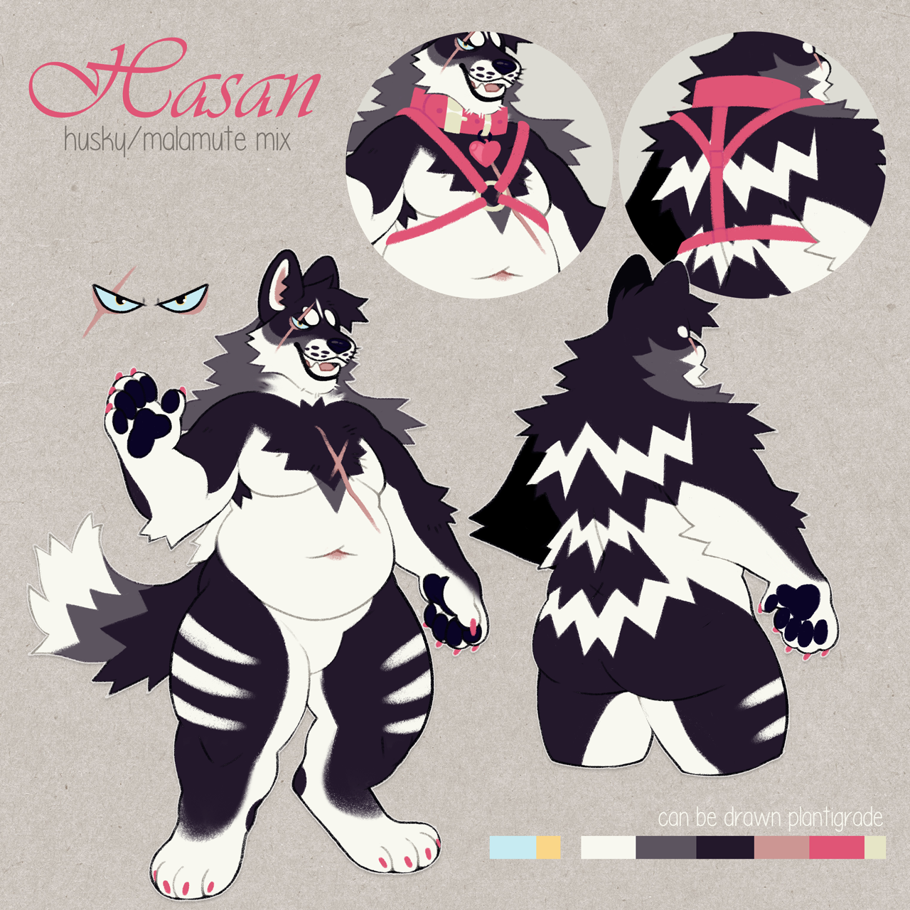 Hasan (husky/malamute) - REF by thekingtheory -- Fur Affinity [dot] net