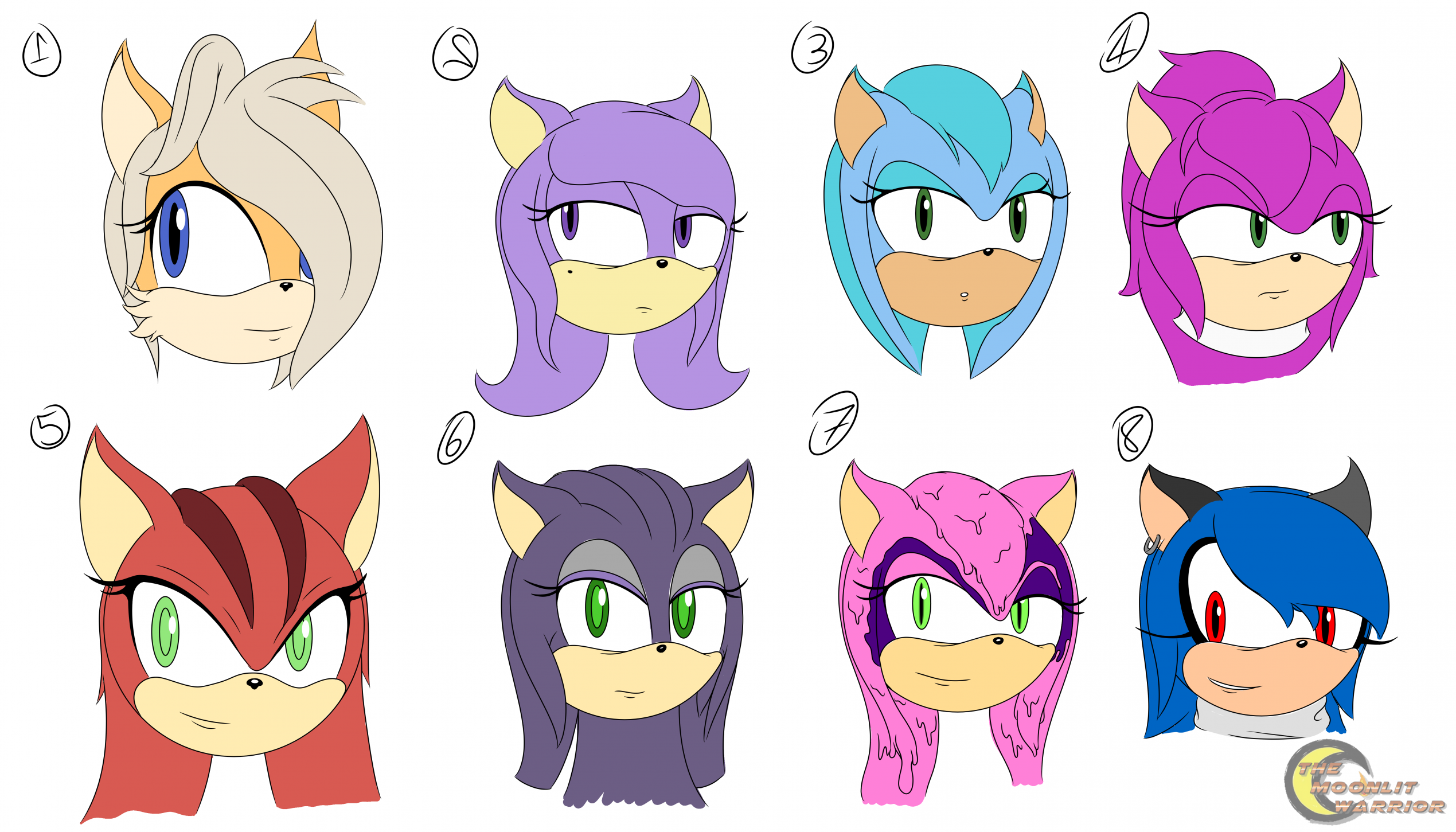 Drawing All Sonic The Hedgehog Characters 