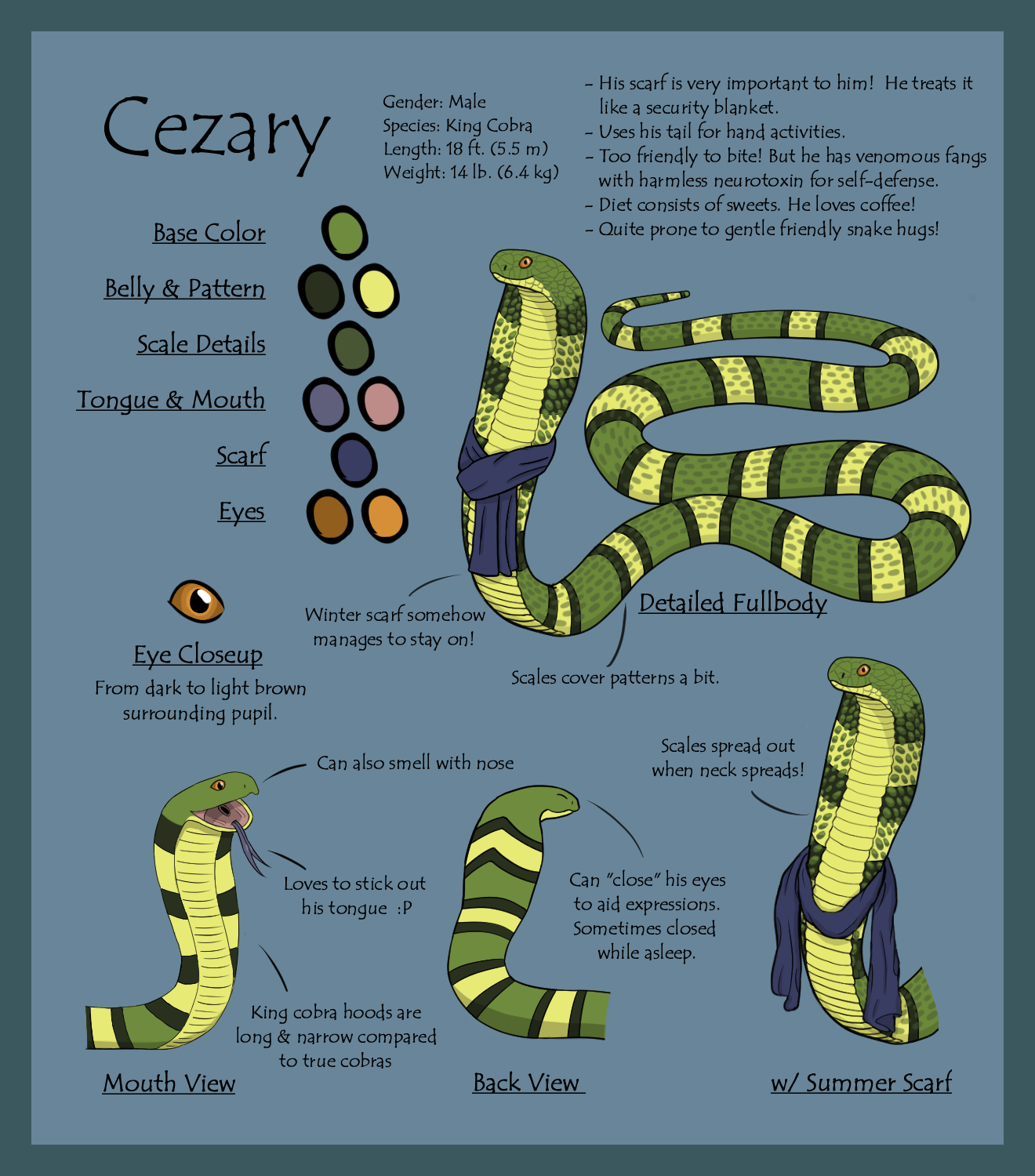 Cezary Reference Sheet v2 by TheOwnlySockPuppet Fur Affinity