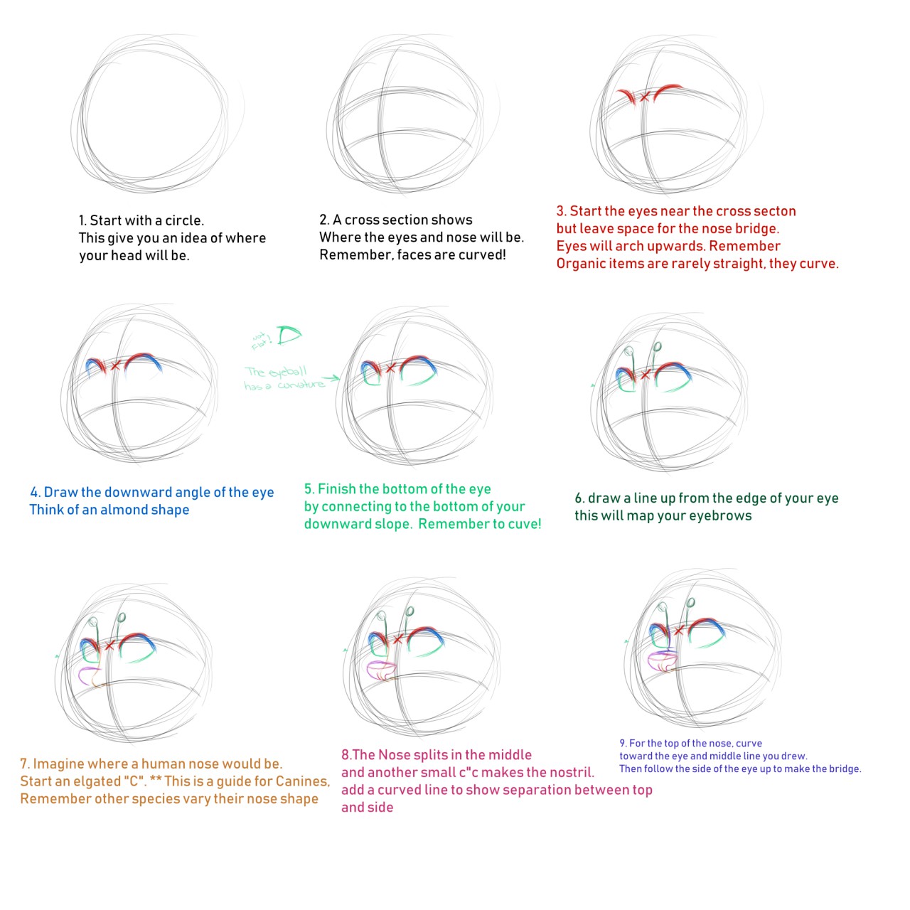 Face Tutorial Part 1 by TheRedGhost -- Fur Affinity [dot] net