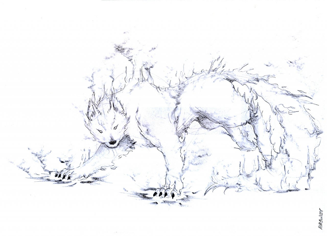 fire wolf drawings