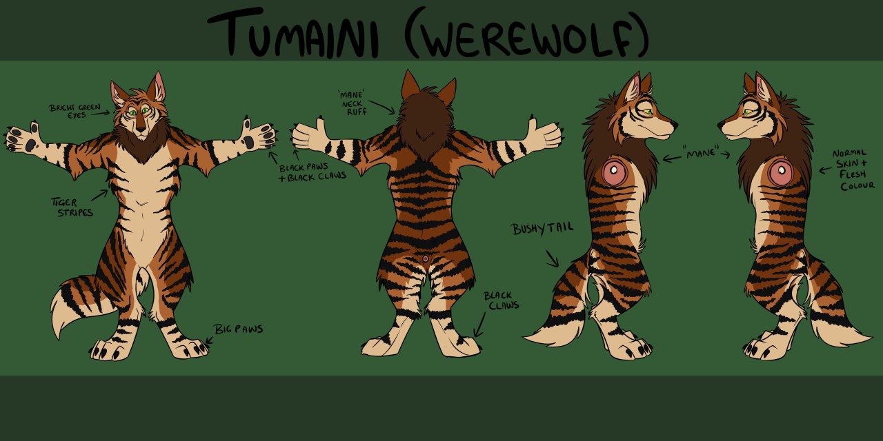 Tumaini (Werewolf) Reference ~ by Thrasher -- Fur Affinity [dot] net