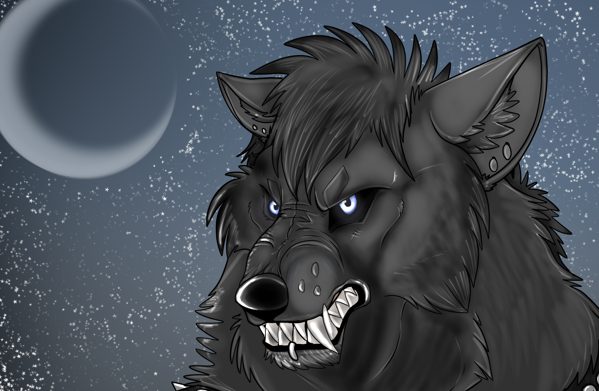 Black wolf Snarl by ottercrazyweirdo on DeviantArt