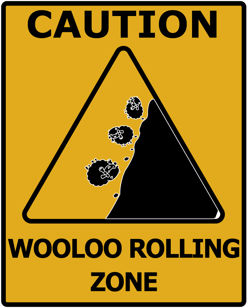 falling rock zone sign