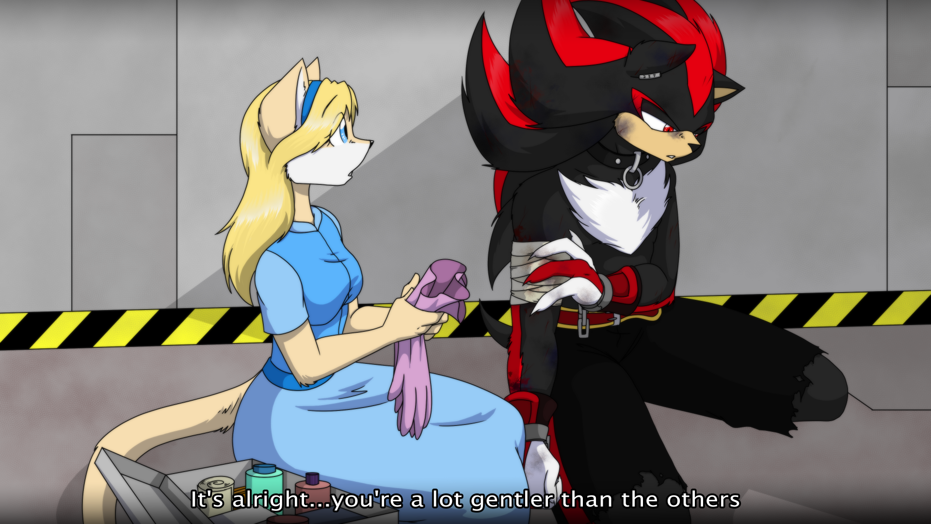 Mobian Cat Maria sits next to Shadow as she prepares to tend to his bandaged arm. He looks at the ground as he tells her she is gentler than everyone else.