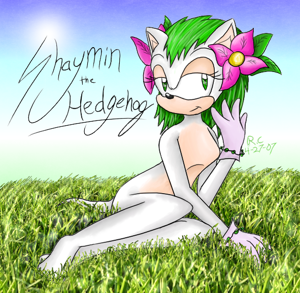 Shay☆The hedgehog☆, Wiki