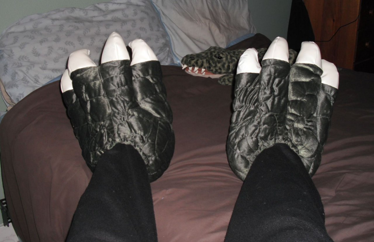 lizard feet slippers