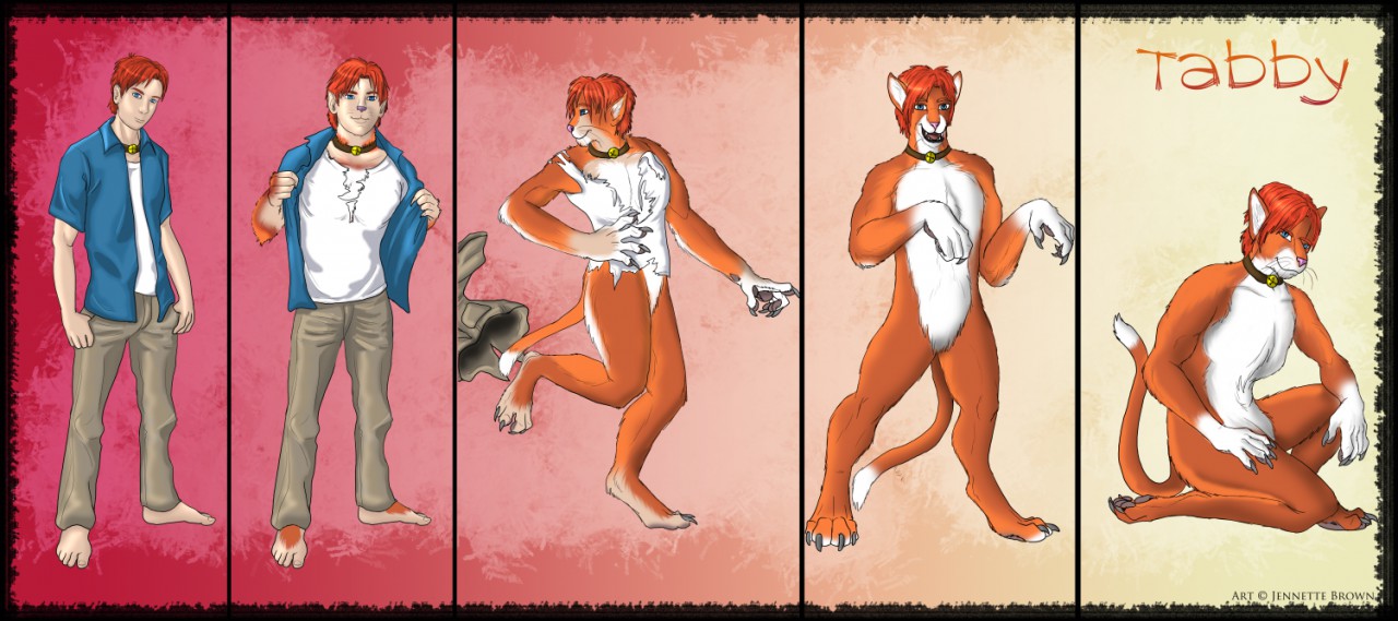 The Five Stages of furry Stage One: I'm not a furry, but It's