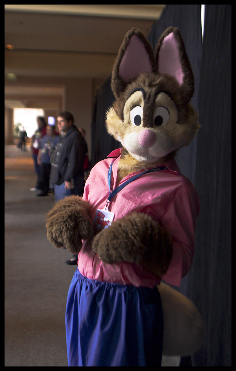 Brer Rabbit at FC2010 by TimothyBH Fur Affinity dot net