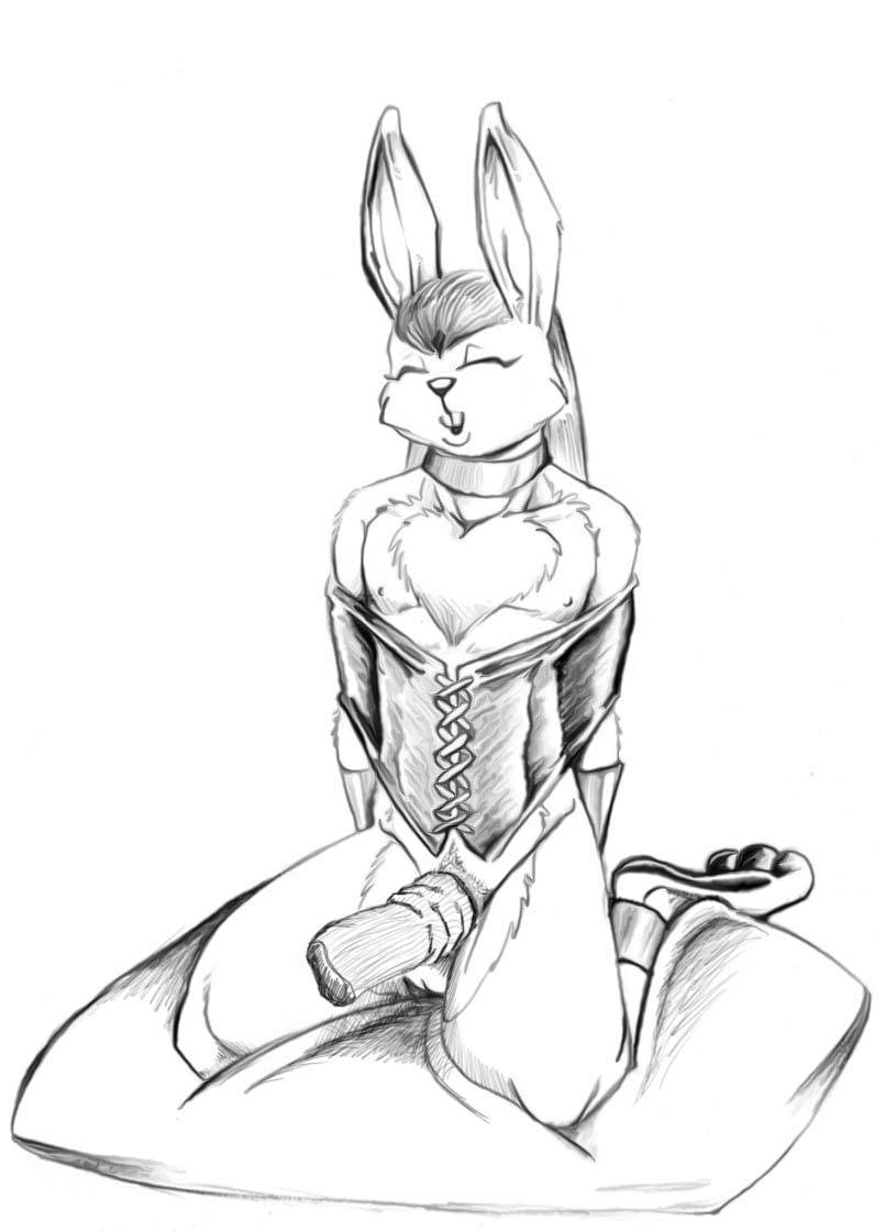 Rabbit bondage