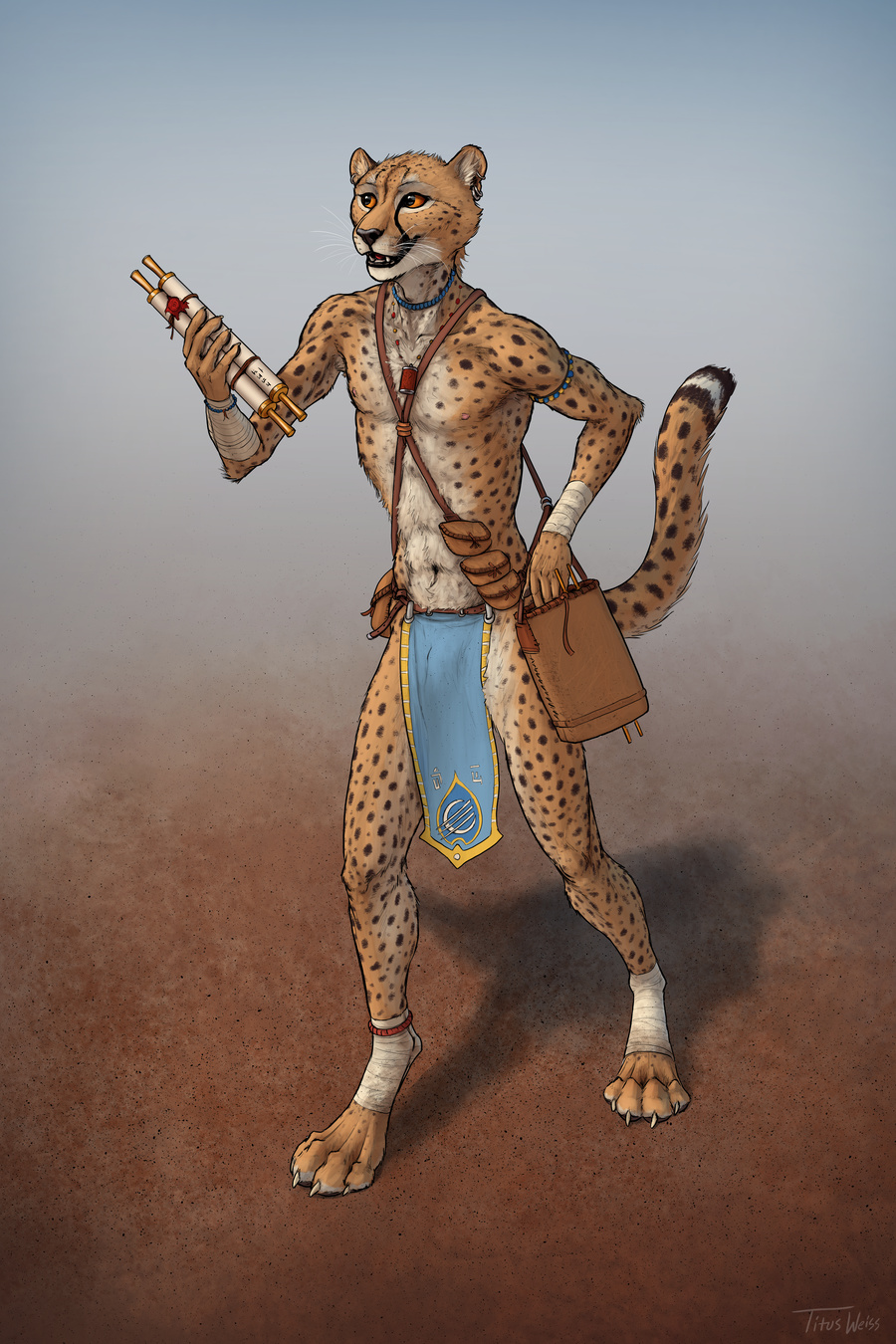 Loincloth cat